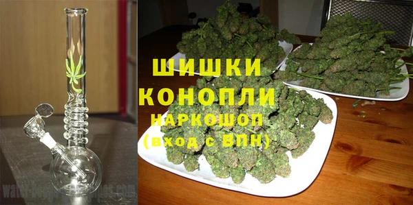 стаф Новозыбков