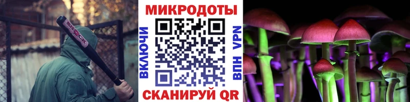 Галлюциногенные грибы Cubensis  Кемь 